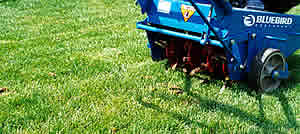 Core Aeration Overseeding Fescue