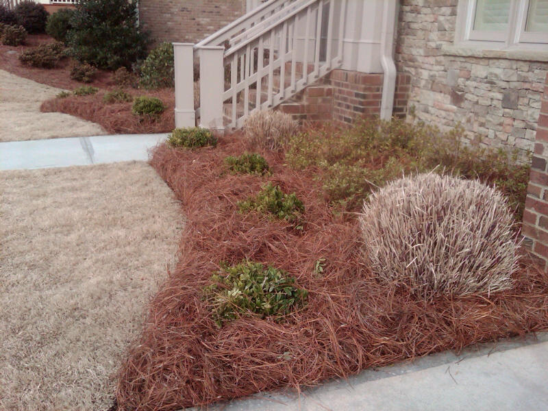 Long Needle Pine Straw Installation