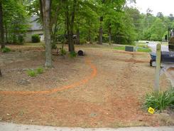 Before Meyer Zoysia, Irrigation