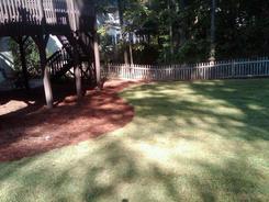 Zoysia Sod Installation