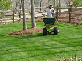 Turf Treatment on Fescue, Perma Green