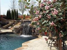 Pool Landscaping