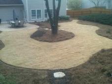 After Zoysia Installation, January